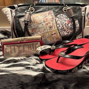 Brighton fashionista purse